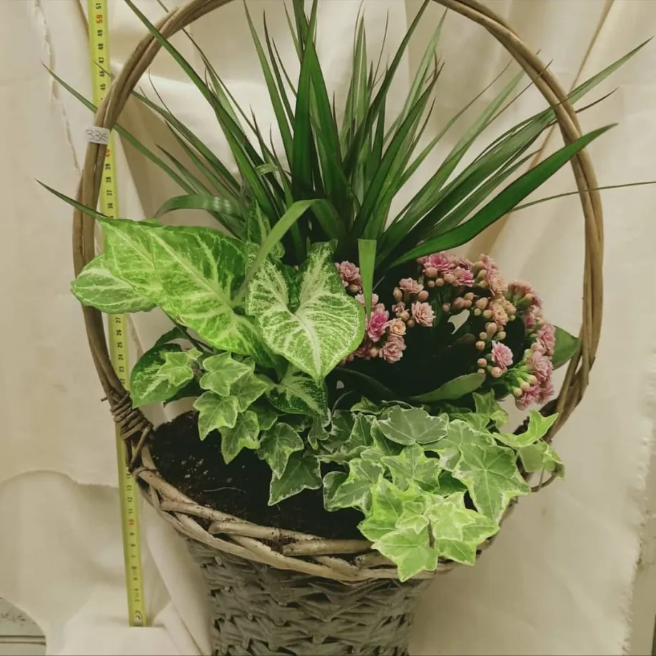 Cesta con plantas verdes y pequeñas flores rosas
