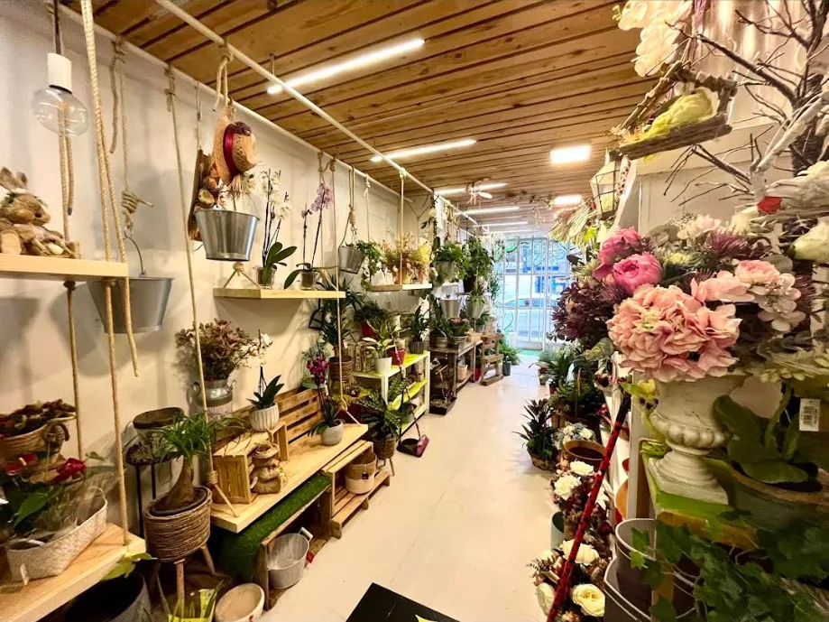 Interior de la floristería El Bosque de Marie con plantas, ramos y decoración vegetal