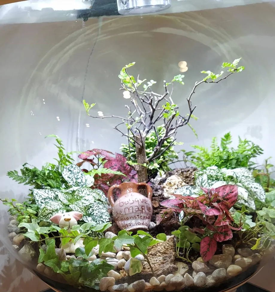Terrario de cristal con plantas, musgo y figuritas decorativas